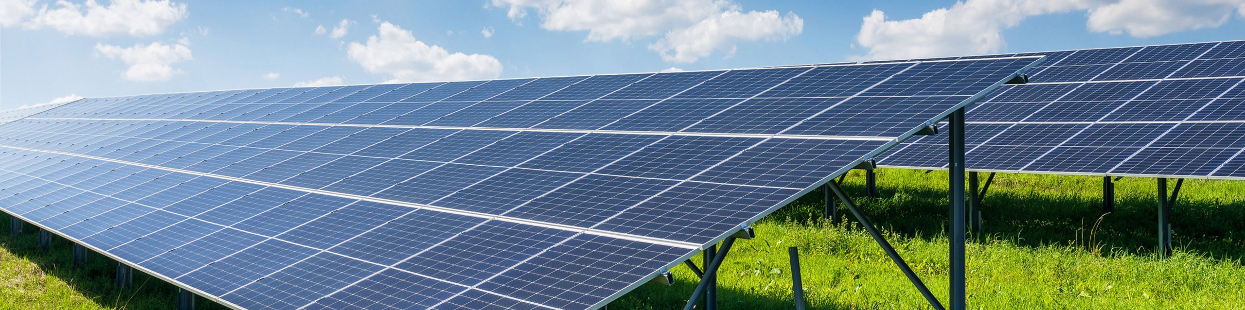 Mehrere Photovoltaikplatten auf einem Feld