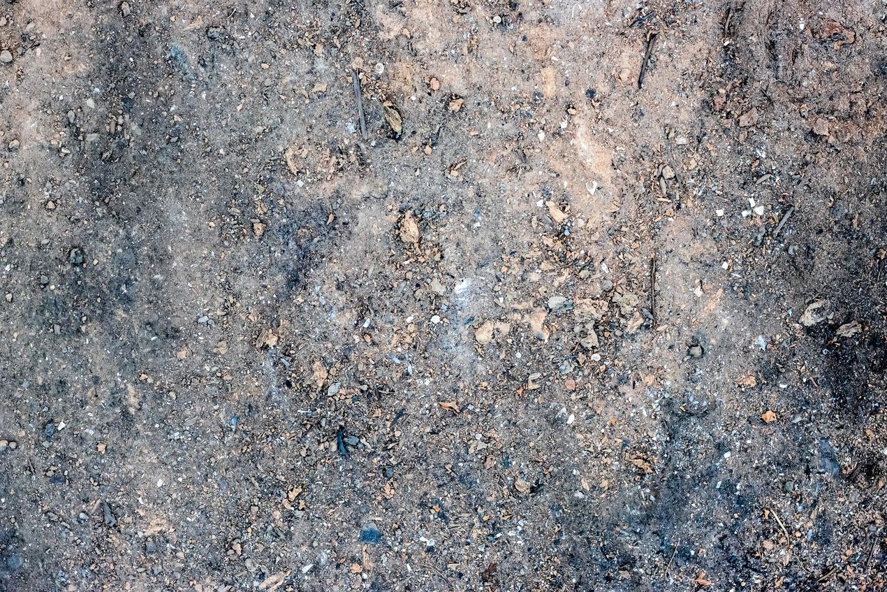AGR-Rostasche.jpg